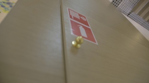 Дверь пожарного шкафа декорированная трудногорючими шпонированными панелями